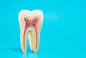 anatomy of a tooth against light blue background 